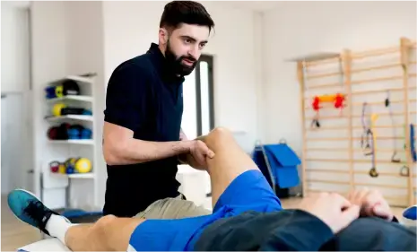 Trainers & Physiotherapists Trainers & Physiotherapists