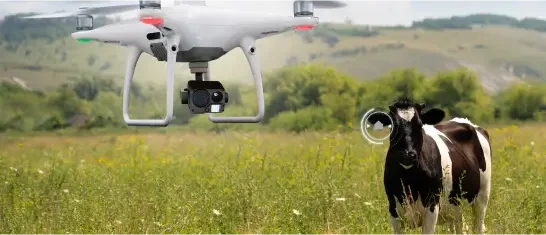 Livestock Management Drones_ Livestock Management Drones_