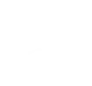 Revenue Optimization Revenue Optimization