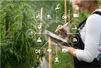 AI Solutions For Precision Agriculture AI Solutions For Precision Agriculture