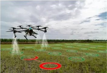 Crop Monitoring Crop Monitoring