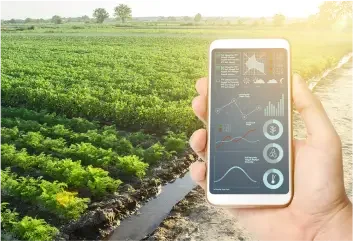 Crop Yield Prediction & Price Forecast AI Crop Yield Prediction & Price Forecast AI