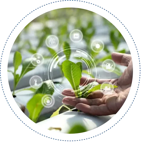 Empowering Agriculture Through Intelligent Technology Empowering Agriculture Through Intelligent Technology