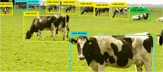 Pose Detection