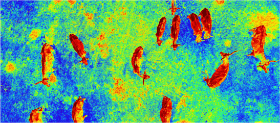 Thermal Imagery Support