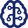 brain-circuit