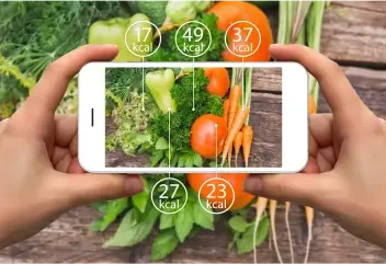 Culinary Education and Nutritional Analysis Culinary Education and Nutritional Analysis