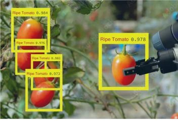 Object Counting & Classification Object Counting & Classification