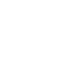 Data Scientist