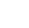 Scope and feasibility of the project 1