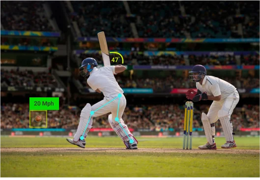 Cricket Analysis Software