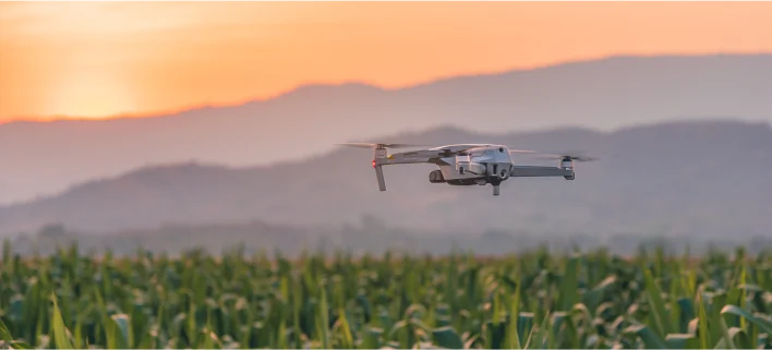 Agriculture & Land Management