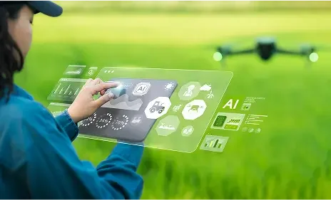 Custom AI Model Training