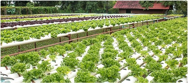 Watson Decision Platform for Agriculture Watson Decision Platform for Agriculture
