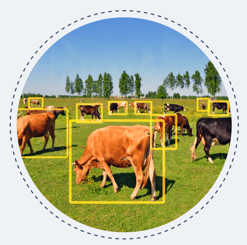 livestock-management livestock-management